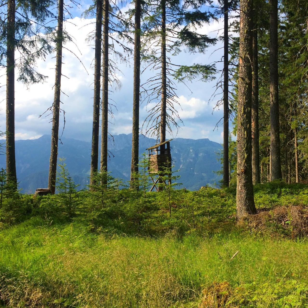 Berggasthof Scharfetter Hotell Haus im Ennstal Exteriör bild